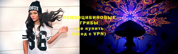 гашик Лихославль