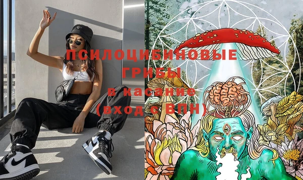 Альфа ПВП Лиски