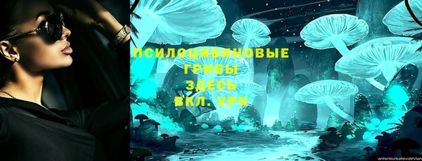 Альфа ПВП Лиски