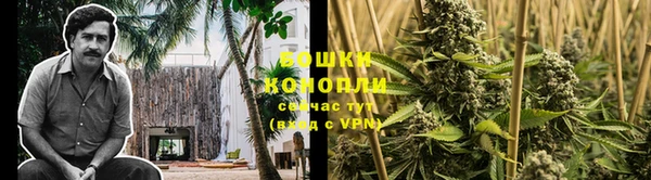 Альфа ПВП Лиски