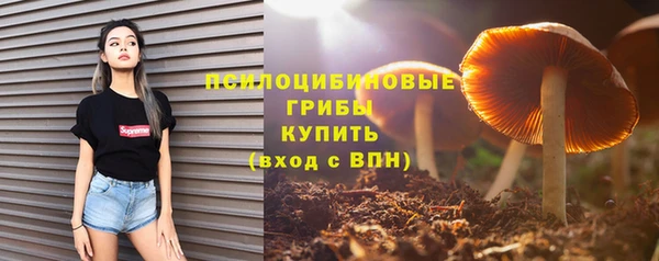 Альфа ПВП Лиски