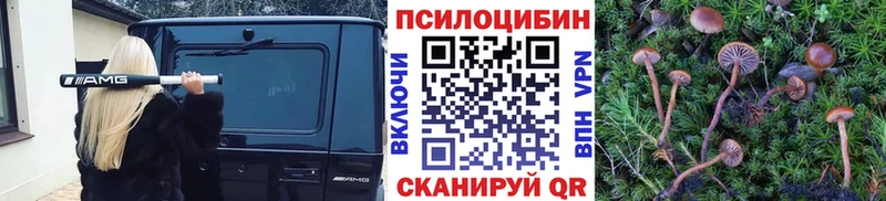Псилоцибиновые грибы мухоморы купить закладку Магадан