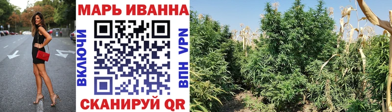купить наркотик  Магадан  МАРИХУАНА VHQ 